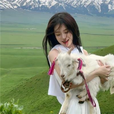 主妇狂想曲